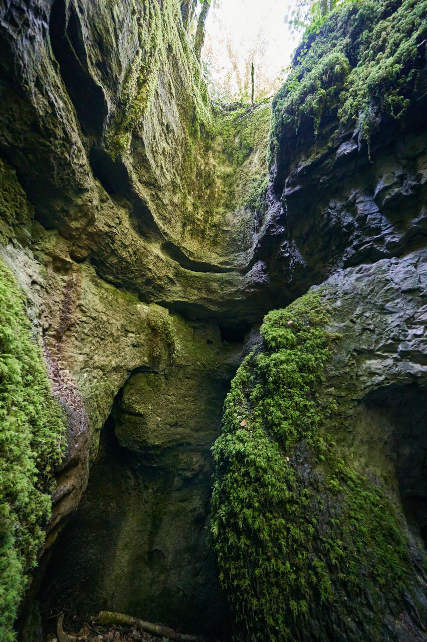 Sentier karstique des Malrochers à Besain, près de Poligny 04